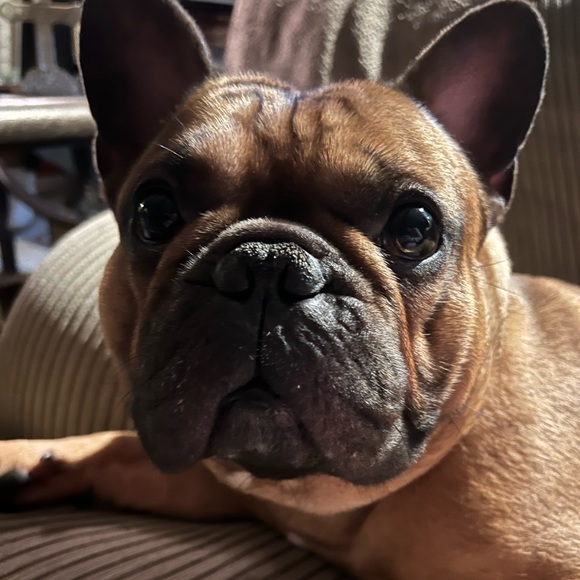 I am live, come hang out!!! - Picture 6 of 7